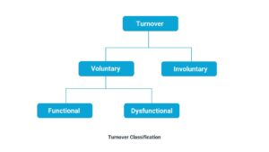 turnover hierarchy2